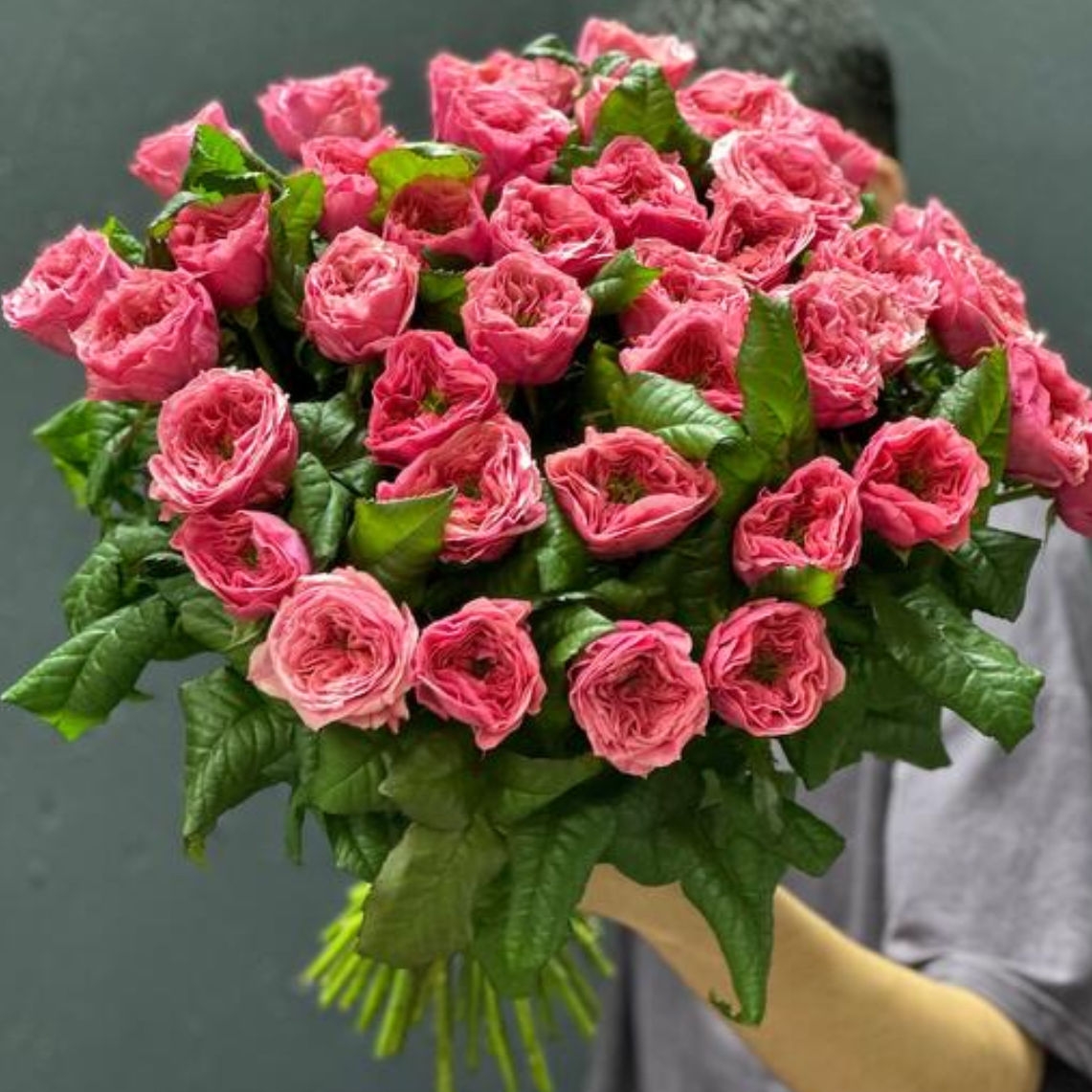 Розы пионовидные 