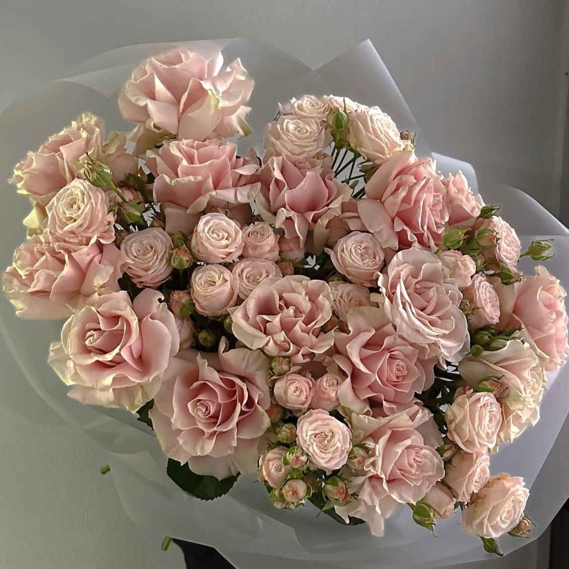 ФРАНЦУЗСКАЯ РОЗА 