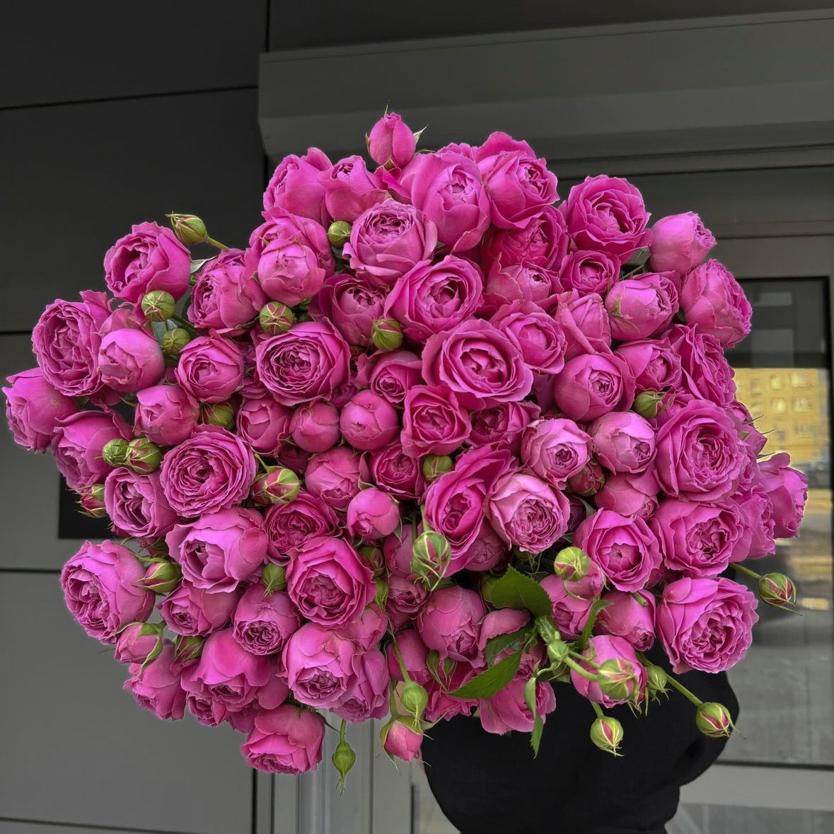 МИСТИ БАБЛС