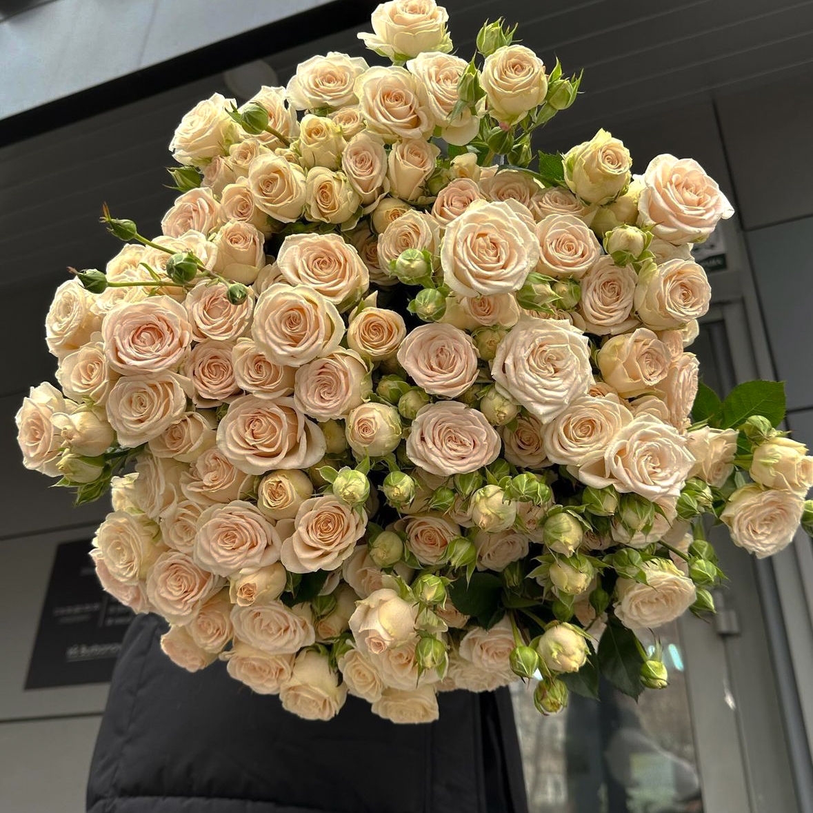 ВЗБИТЫЕ СЛИВКИ