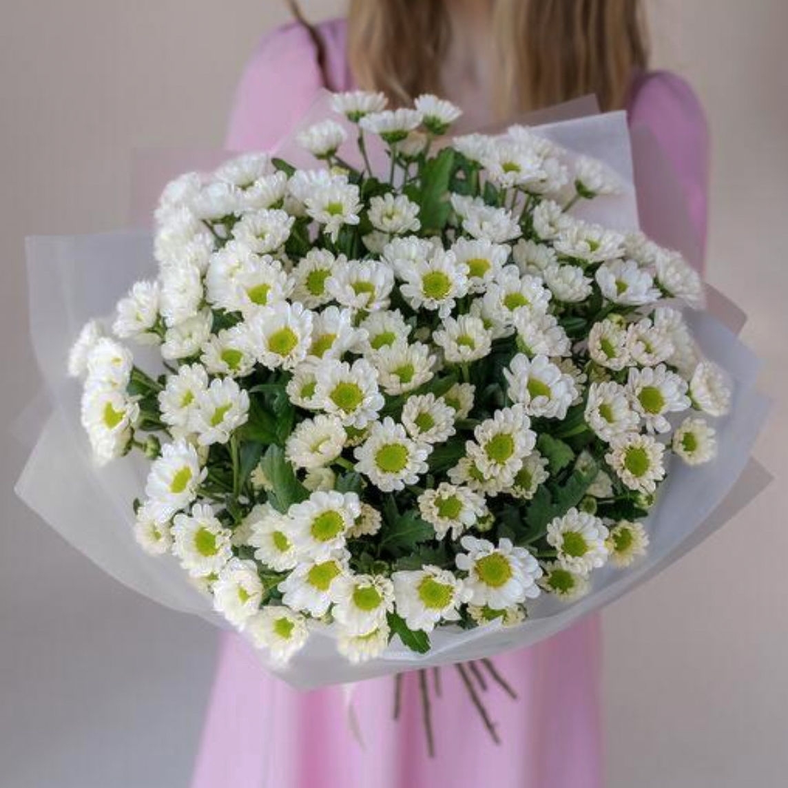 ВЕСЕННЯЯ РОМАШКА 