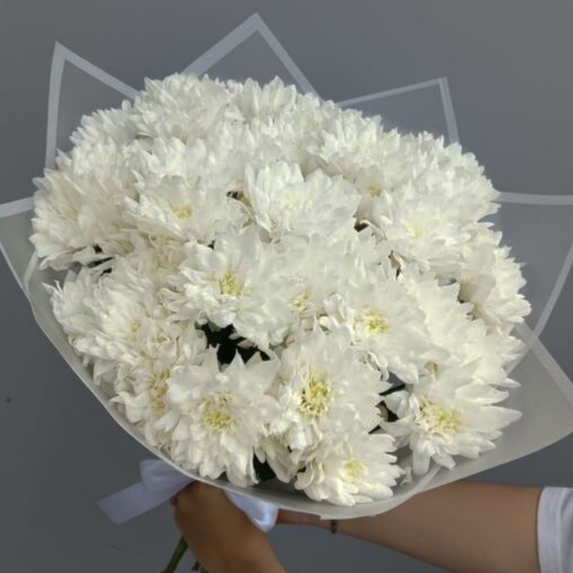 7 ВЕТОК СЧАСТЬЯ 