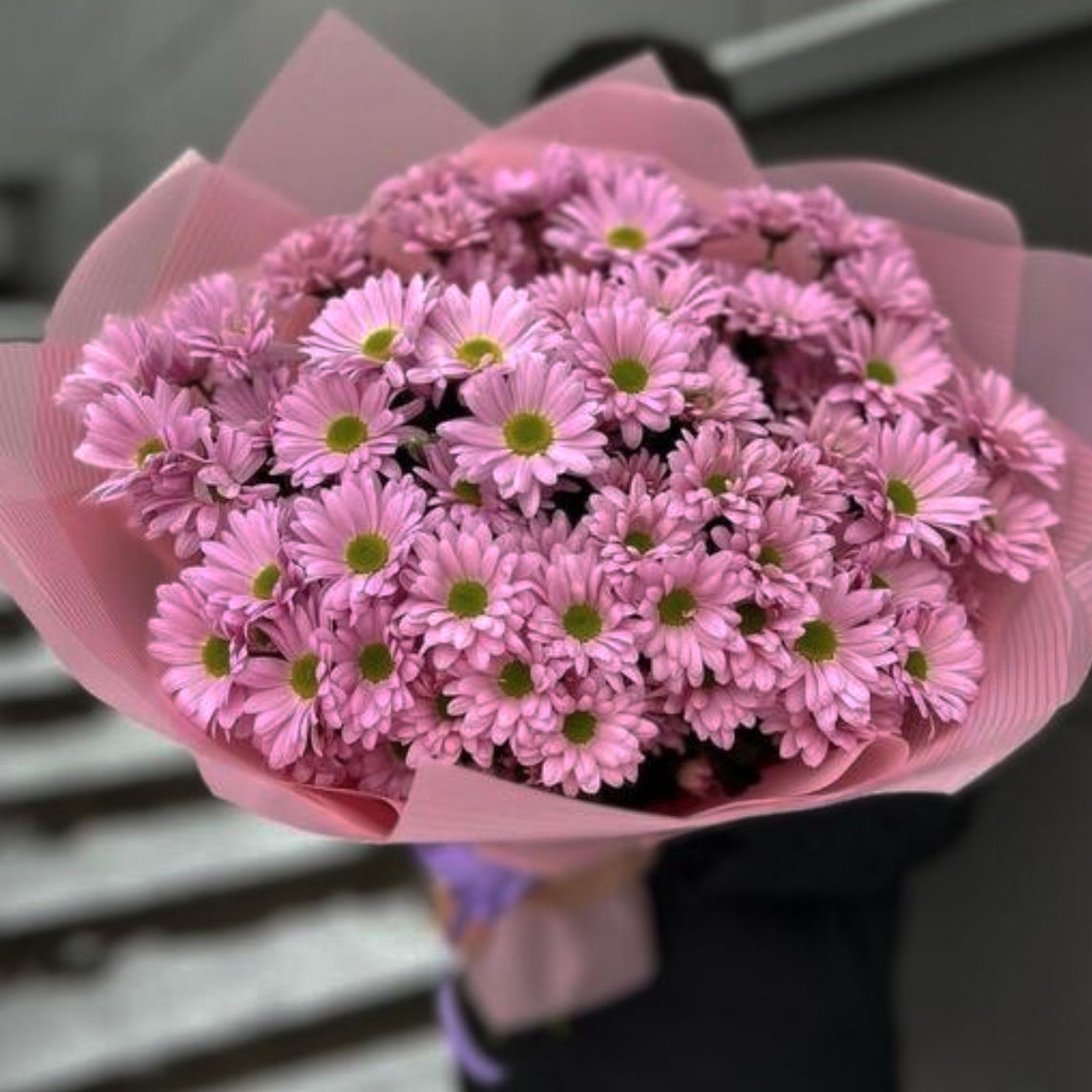 РОЗОВАЯ РОМАШКА 