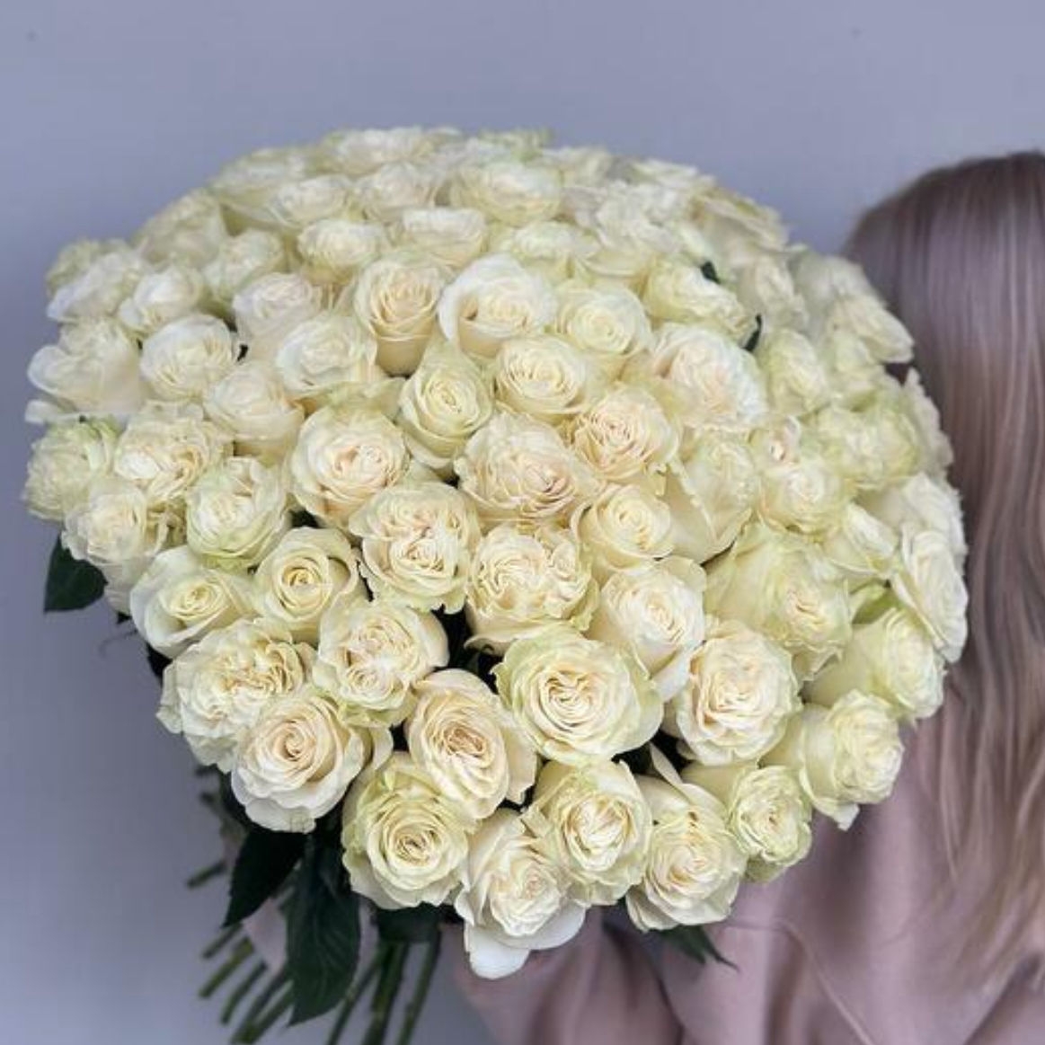  НЕЖНО КРЕМОВАЯ РОЗА