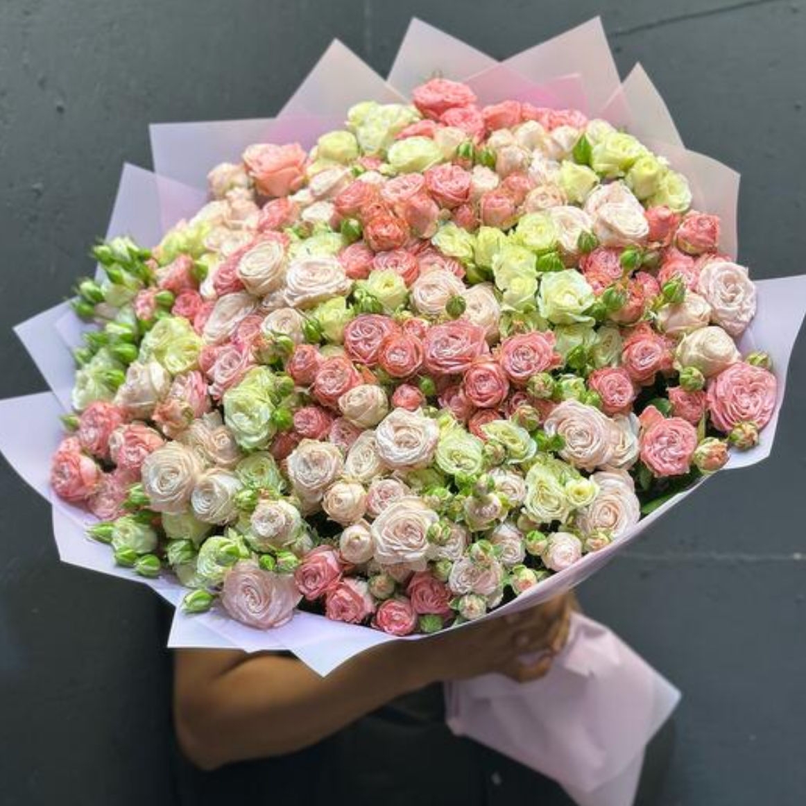 НЕЖНОЕ ОБЛОКО