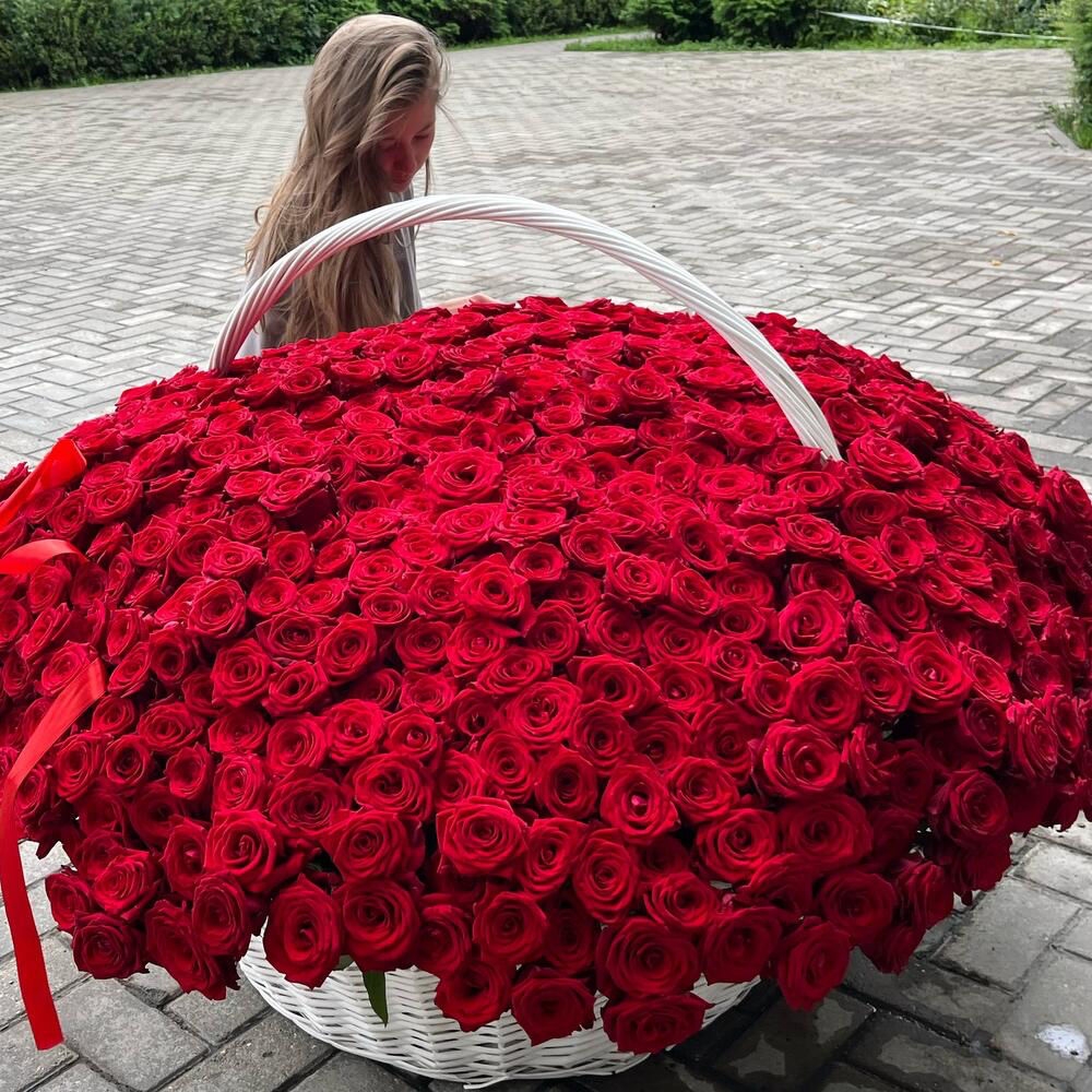 1001 КРАСНАЯ РОЗА