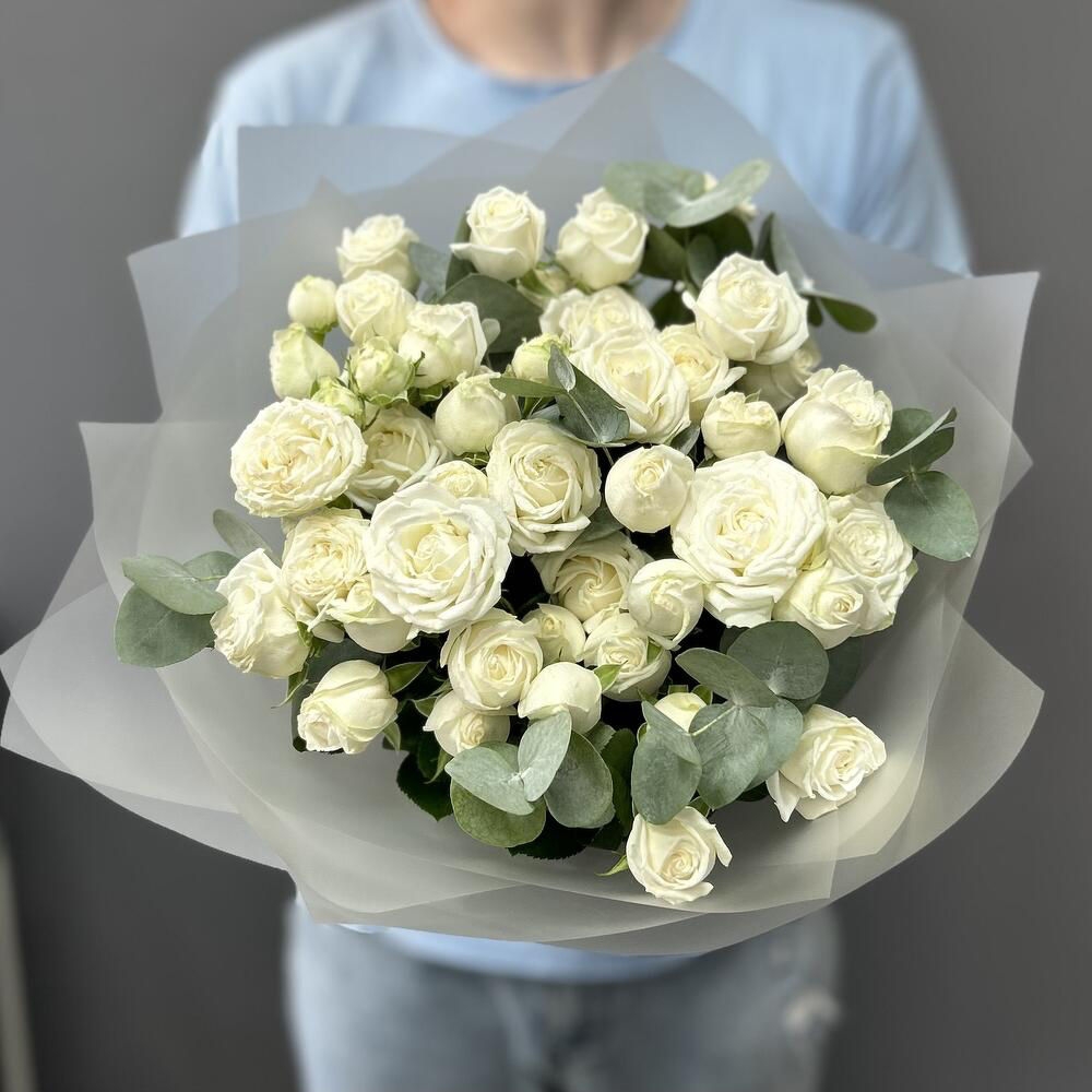 БОМБАСТИК И ЭВКАЛИТ