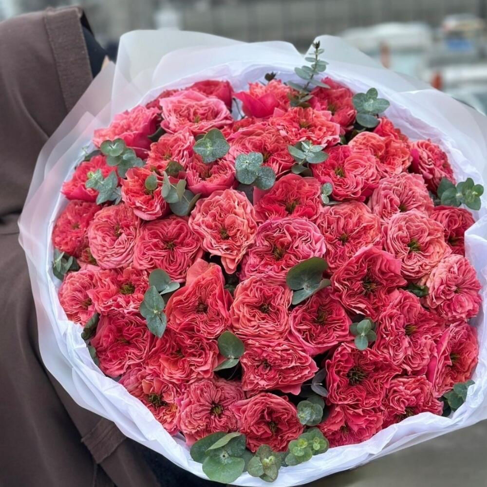 ПИОНОВИДНЫЕ РОЗЫ