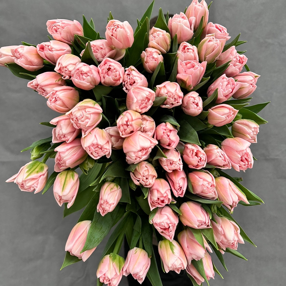 Нежно розовое волшебство 