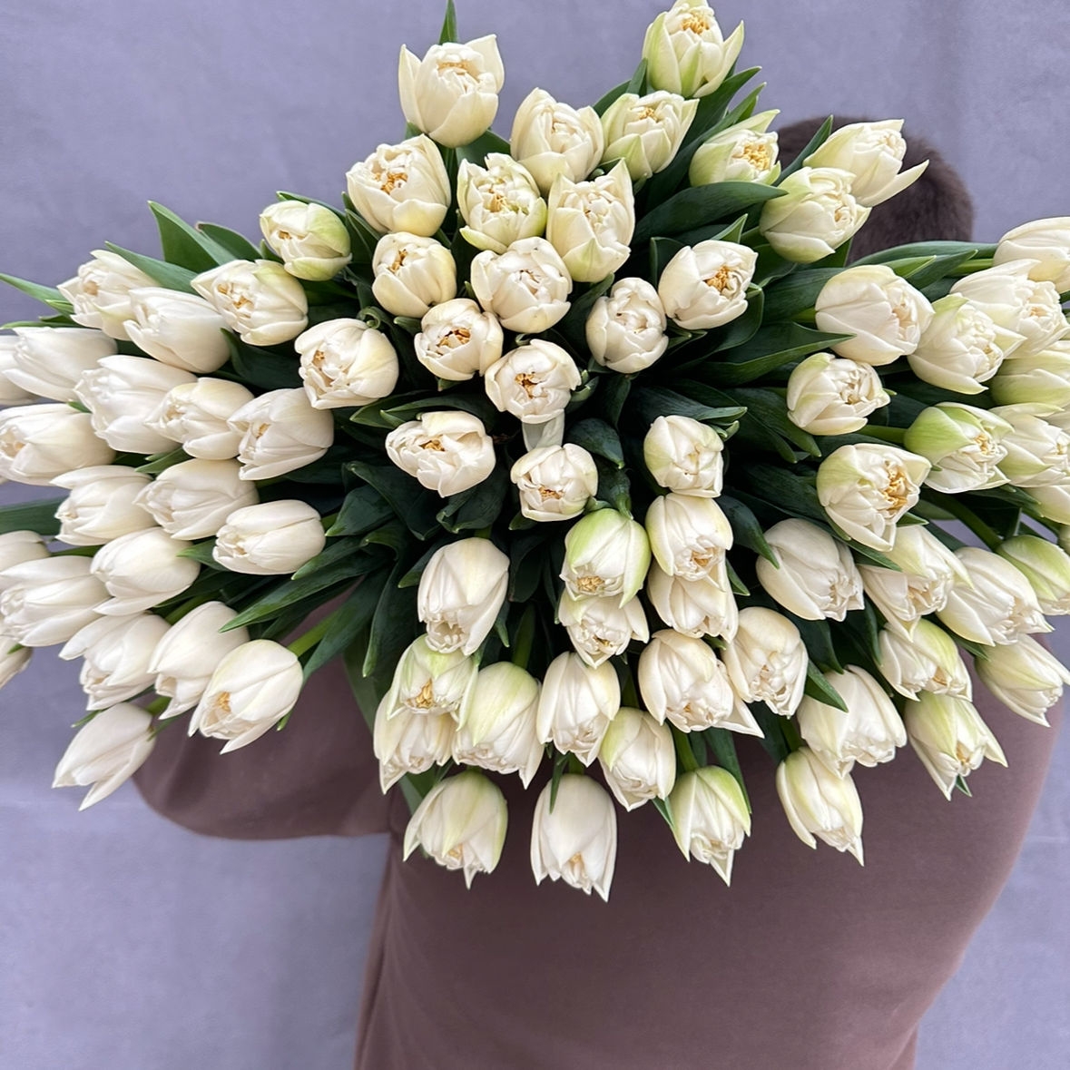 Белоснежный пионовидный 