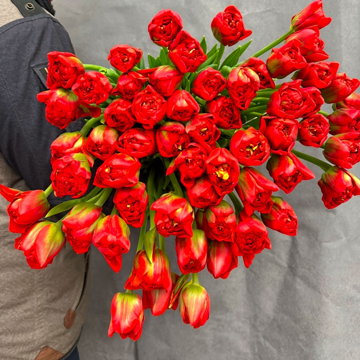 Алое сердце 