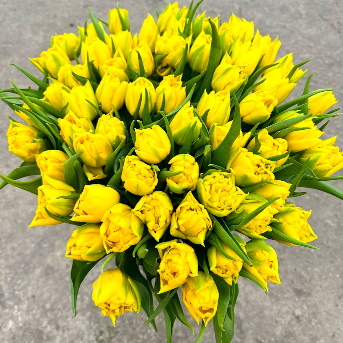 Весенние солнышко 