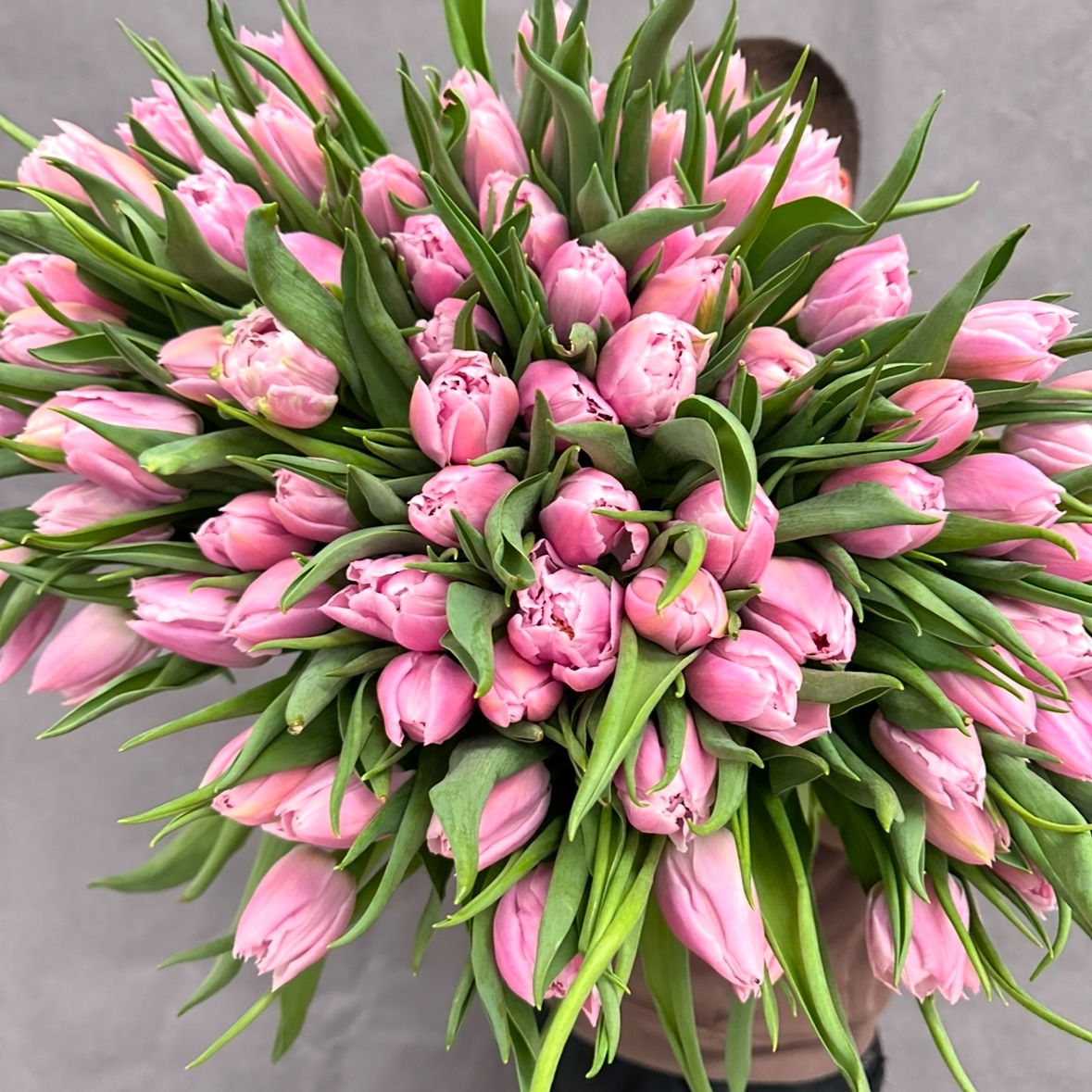 Лавандовое счастье 