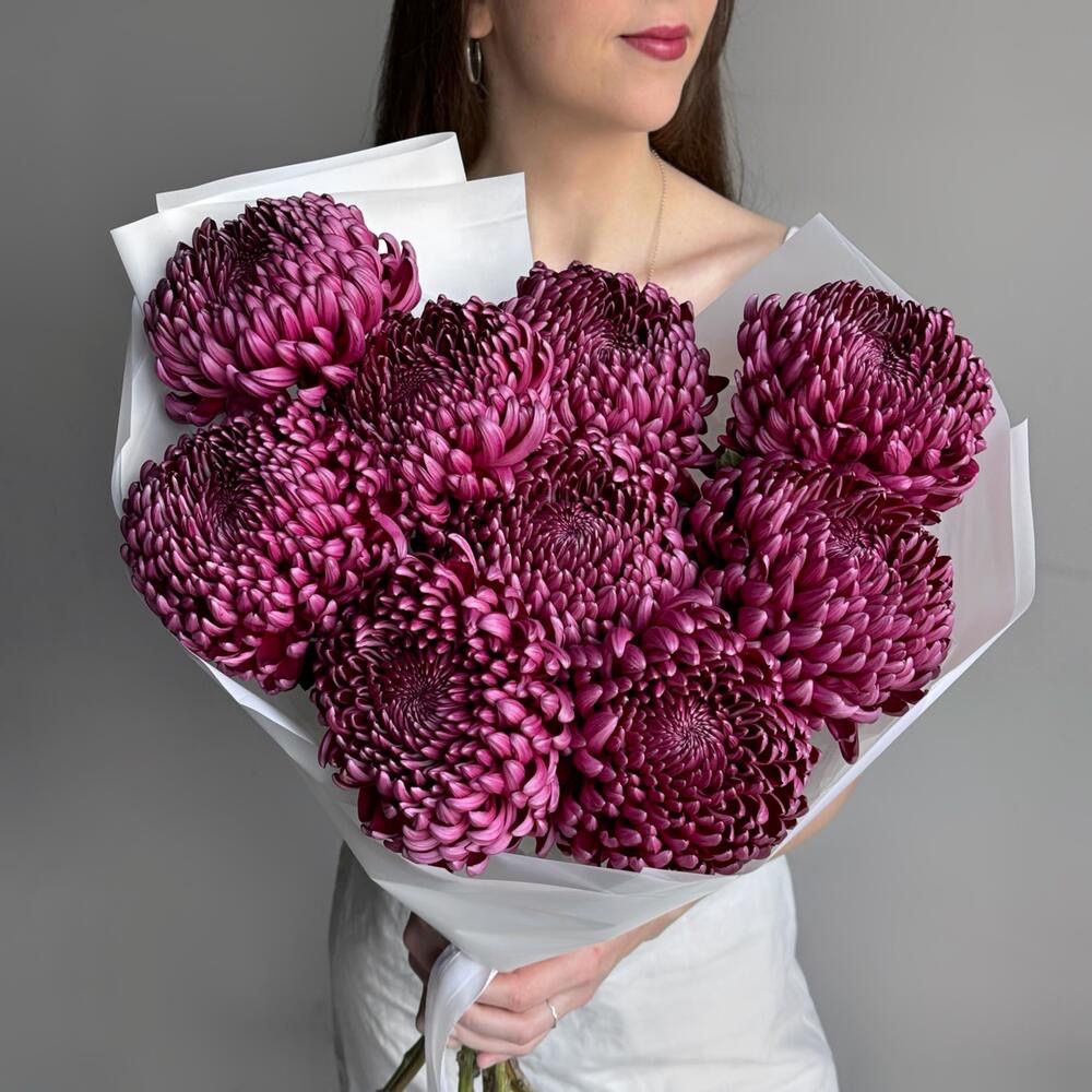 Хризантема Бигуди премиум