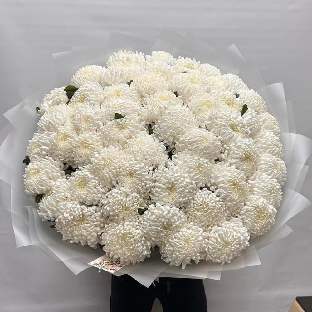 51 БЕЛАЯ ХРИЗАНТЕМА