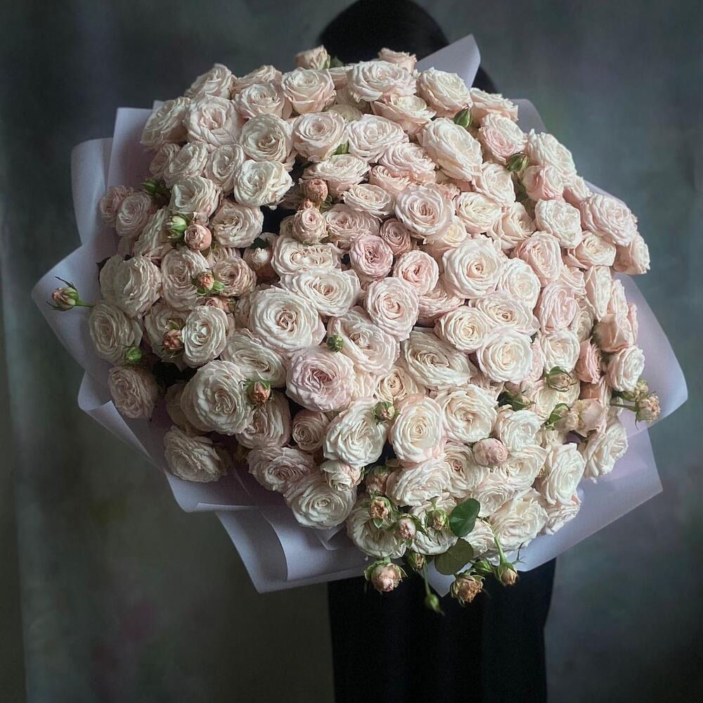 Премиум Кустове пионовидные розы