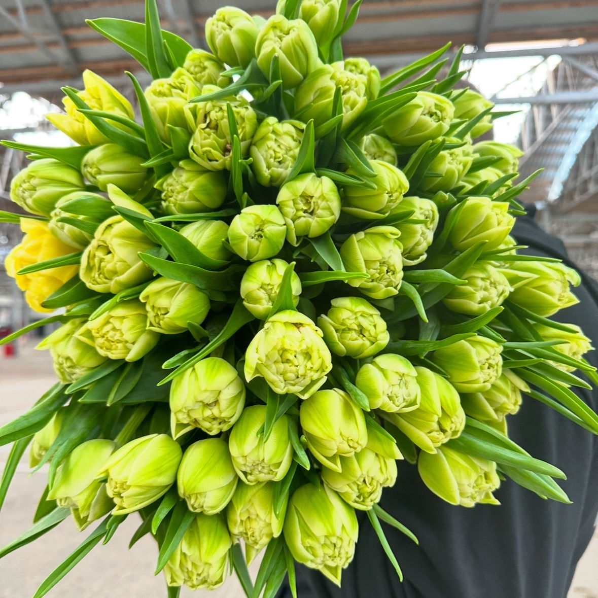 Лимонный рай