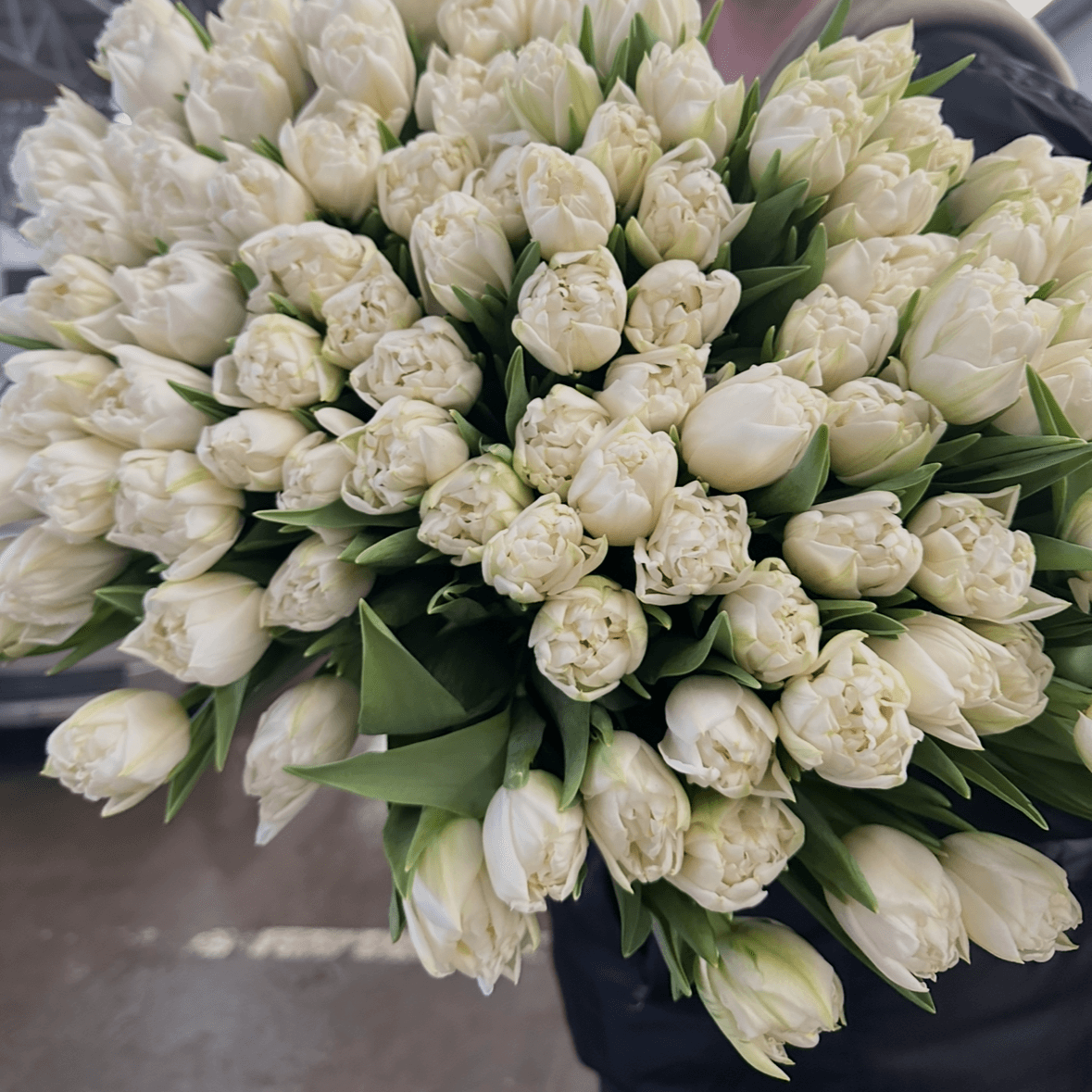 Белоснежная пионка