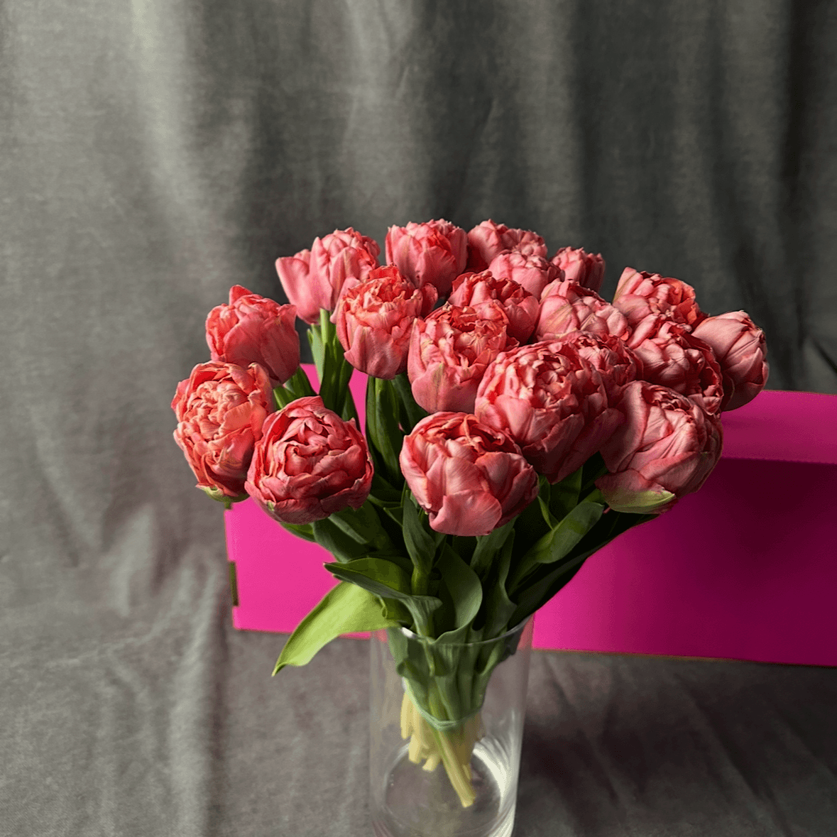 Пионовидный коралл