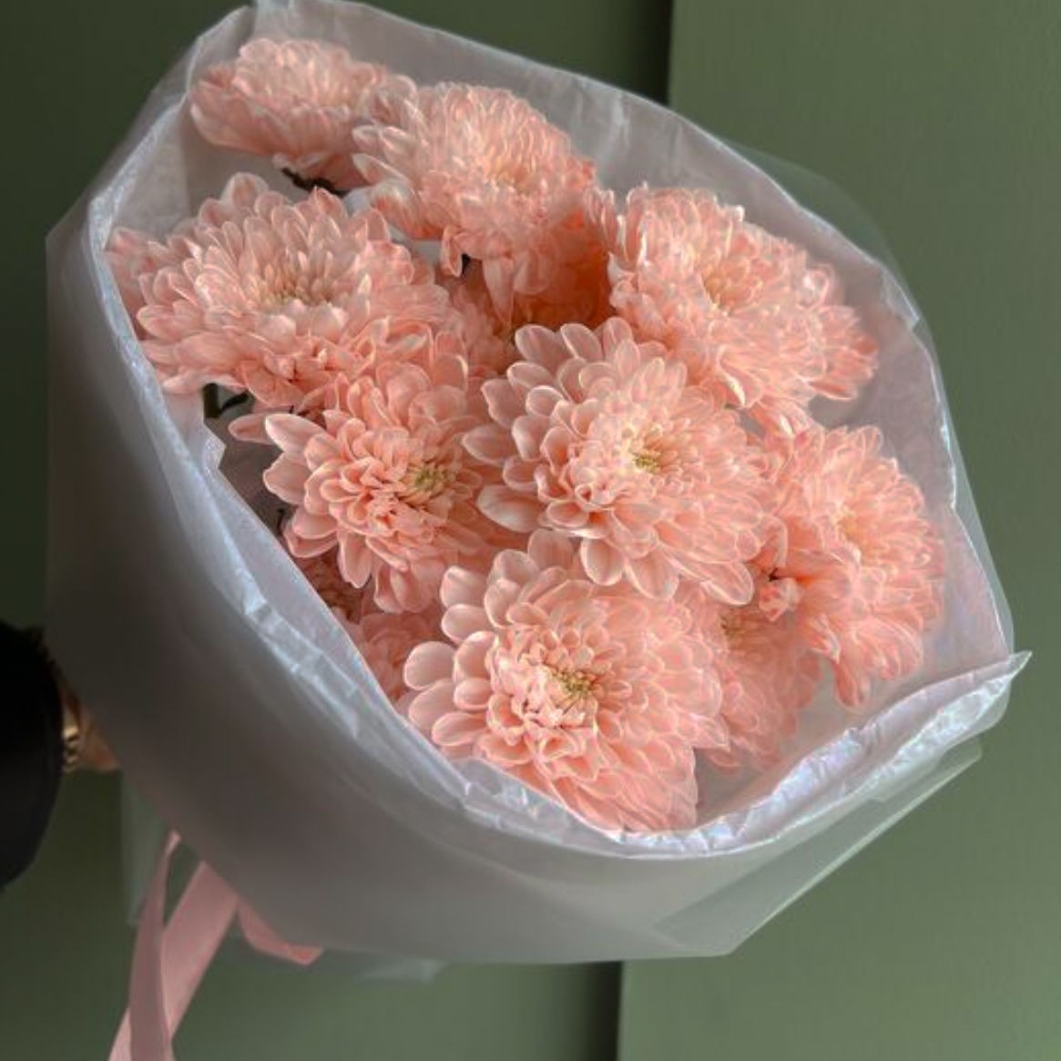 ПЕРСИКОВАЯ ХРИЗАНТЕМА 