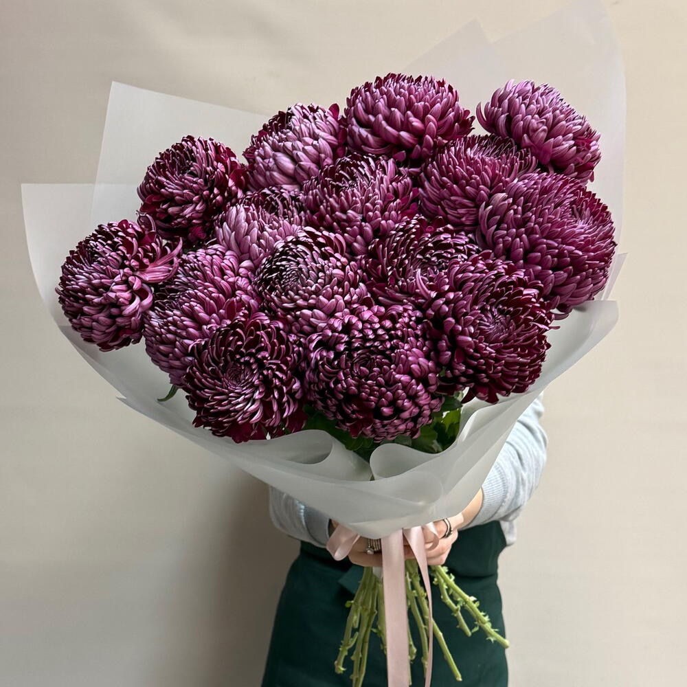15 винных хризантем «Бигуди» | монобукет из одноголовой хризантемы «Бигуди»