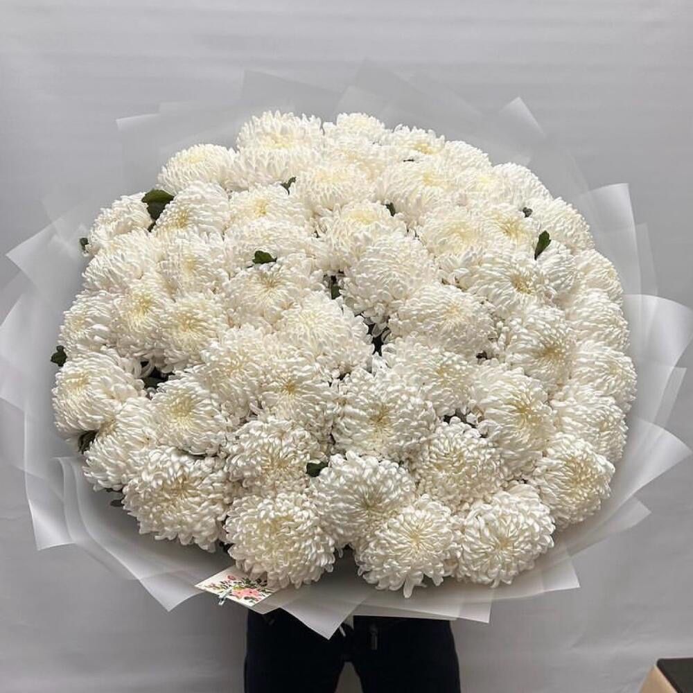 51 БЕЛАЯ ХРИЗАНТЕМА